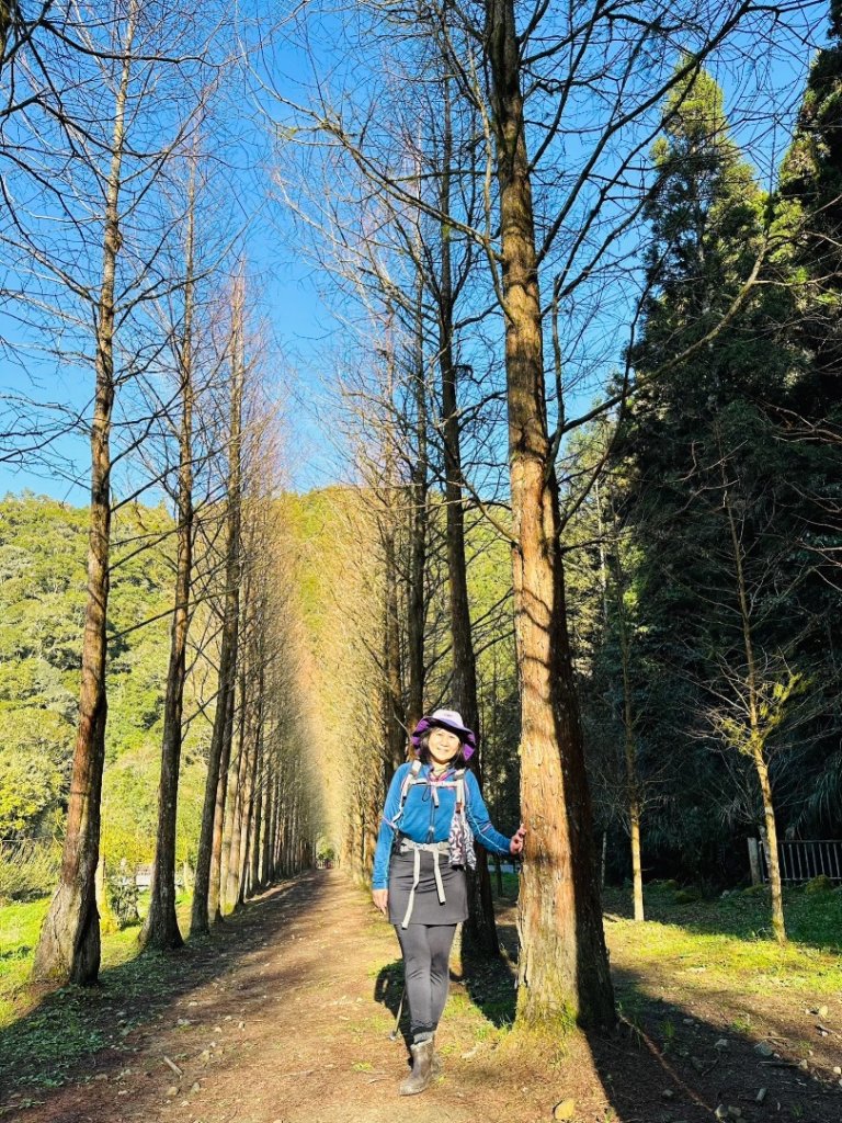 水漾森林、鹿屈山O走_2461775