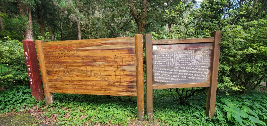 2024-05-19溪頭自然教育園區_2507979