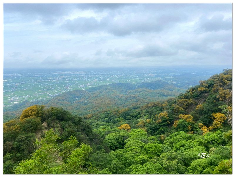 火炎山 相思花開 (季節限定) 三義封面圖