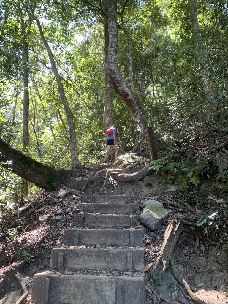 20251018台中八仙山_2921434