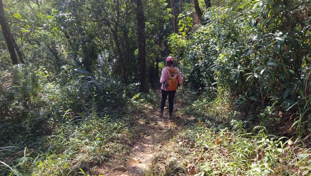 (姨婆趴趴走)第四十五集:新竹竹東三山（新具庄山、樹杞林山、員崠子山）環狀縱走_2662330