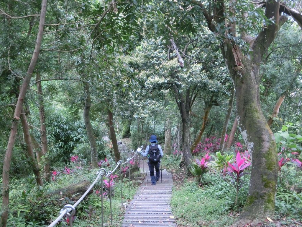 新店獅頭山_119270