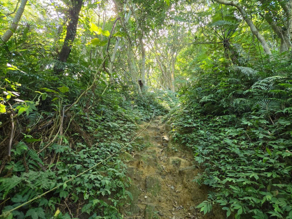 桃園石門山（小百岳）_2910049