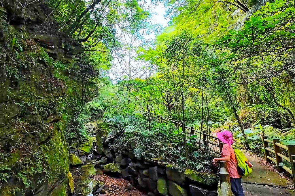 淡蘭古道中路百年山徑~暖東峽谷大環步道_2846396