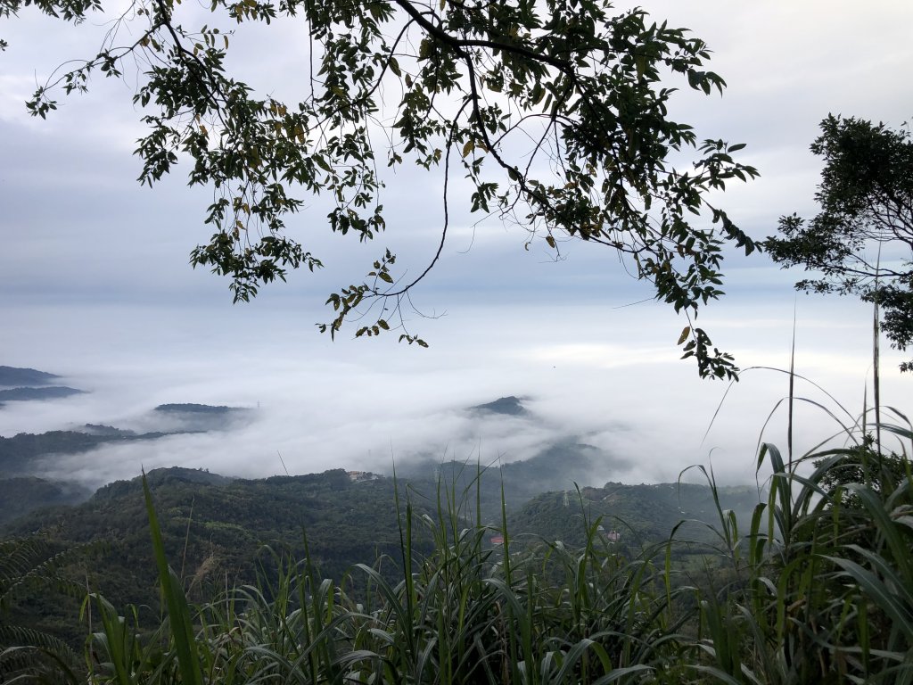 關仔嶺大凍山步道走曾文水庫O型_1611829