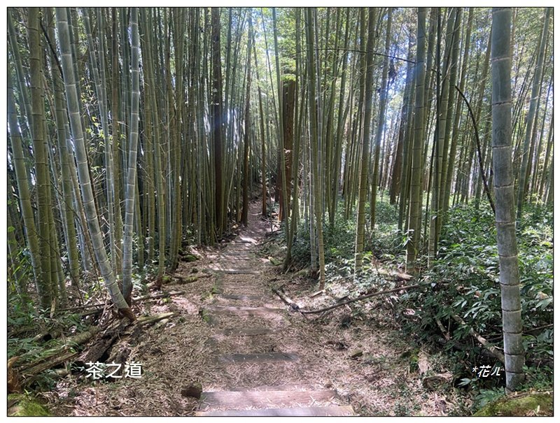 頂石棹步道群、樂野山、霹靂山 d型路線_2749185