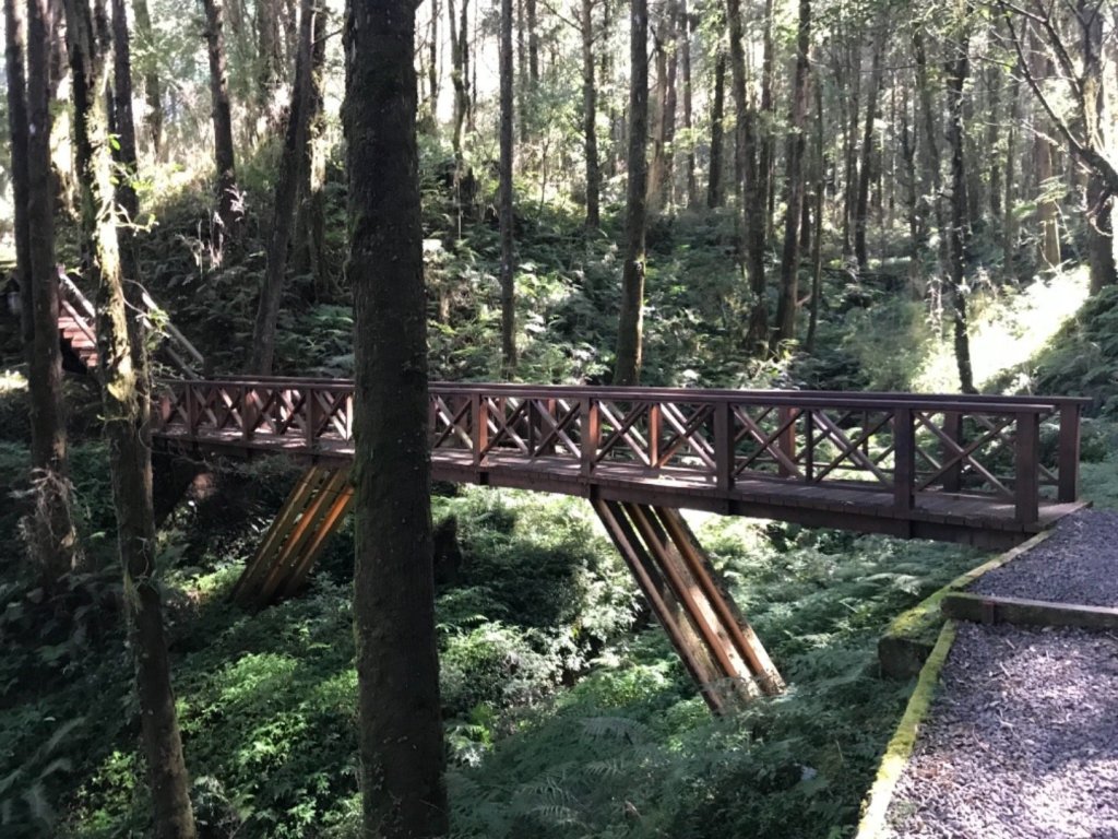 阿里山雙峰大塔山對高岳連走_451414