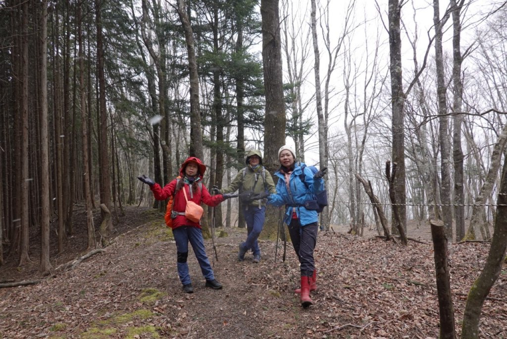 熊野古道小邊路.熊野三山_2485441