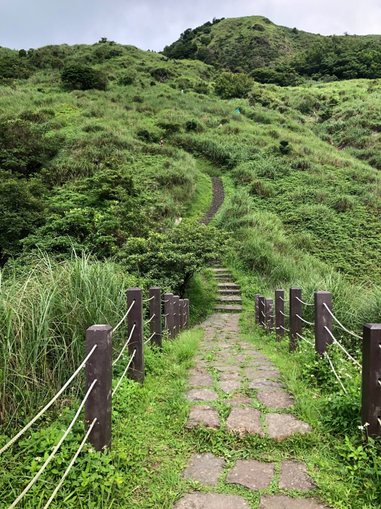 走遍陽明山封面圖