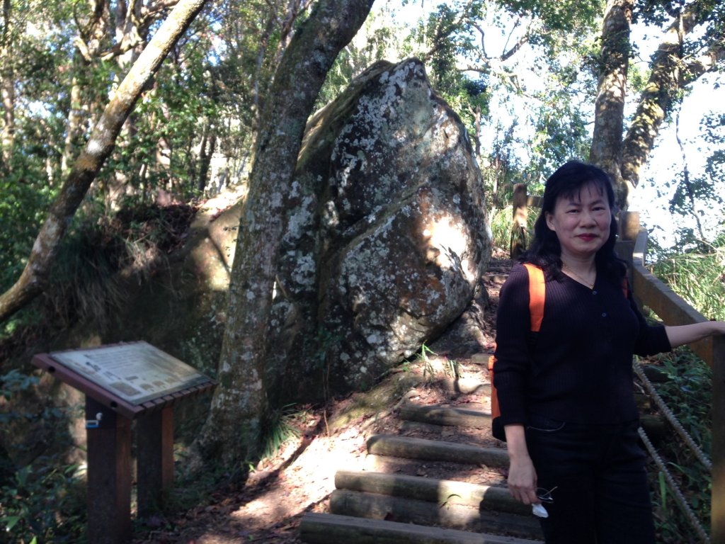 四訪苗栗的花果山-小百岳#037馬那邦山、雪霸國家公園管理處【小百岳集起來、苗栗-臺灣百大必訪步道】_2394286