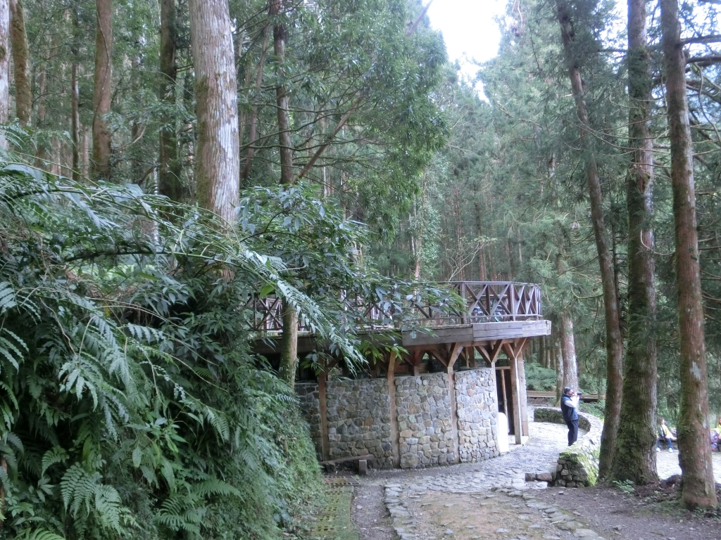 棲蘭山莊．神木園．明池_93560