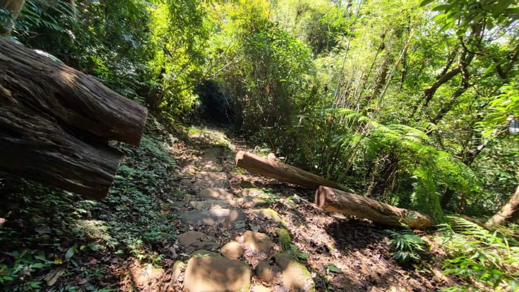 打鐵寮古道連爬白石山_1898558