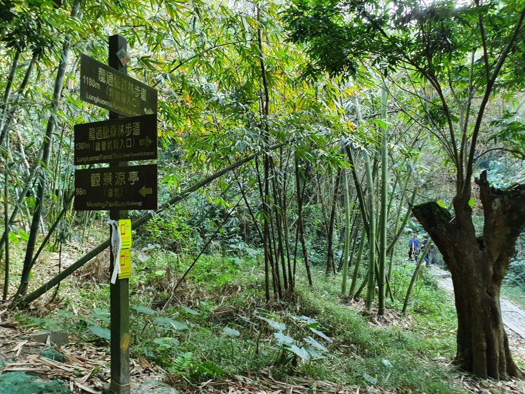 步道巡訪員│龍過脈步道之美~_812506