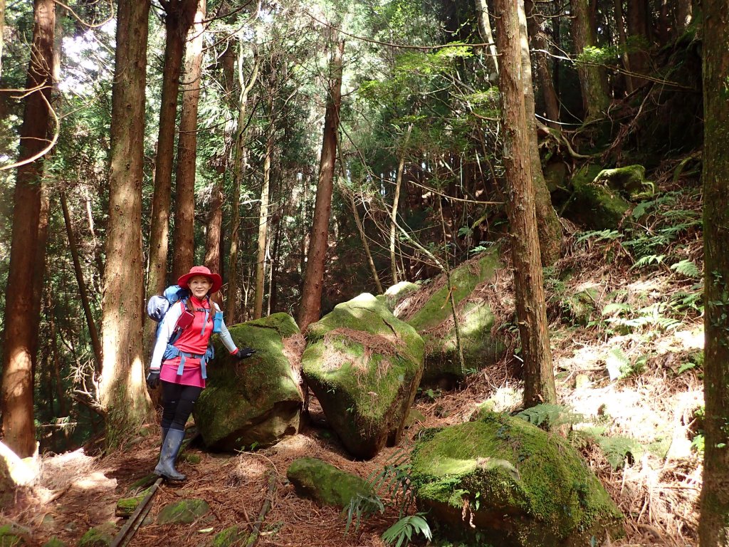 新阿溪縱走_446964