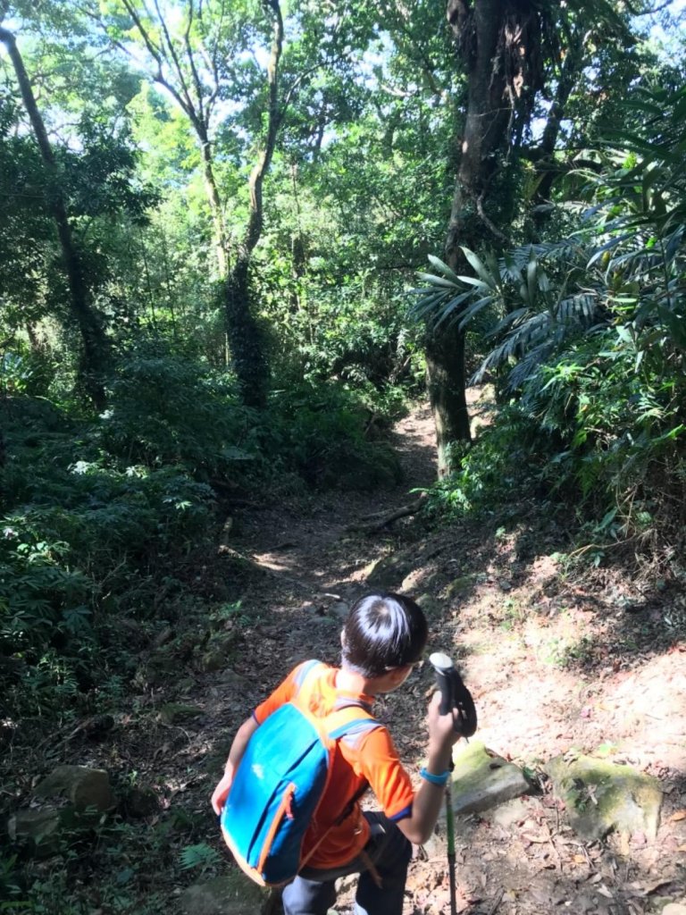 細道邦山 馬那邦山_464988