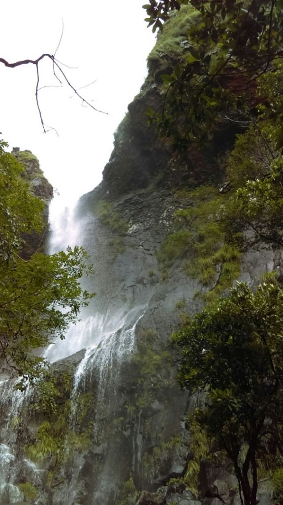 陽明山國家公園最大的瀑布「阿里磅瀑布」_406737