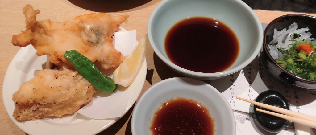 20250316日本旅遊自由行旅拍_2783076