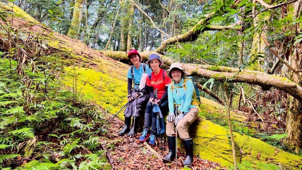 🌈9/7（日）夫拉縱走（夫婦山縱走拉拉山）✨FB：熊熊趴爬走🌈_2880928