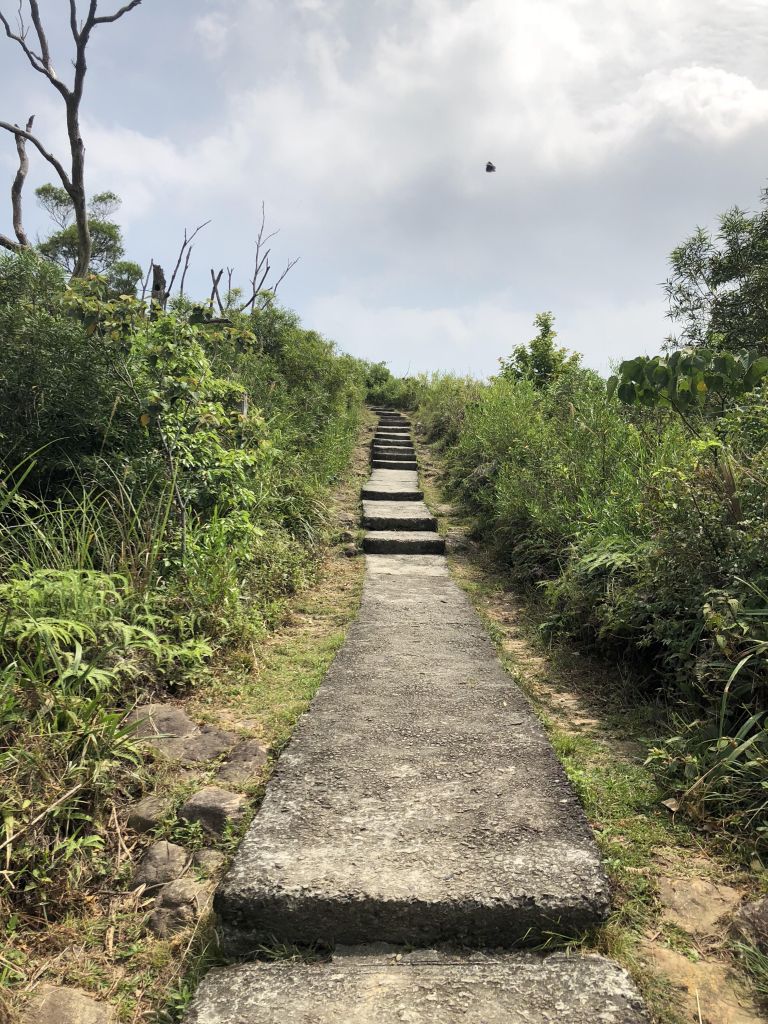 丹鳳山、軍艦岩_324479