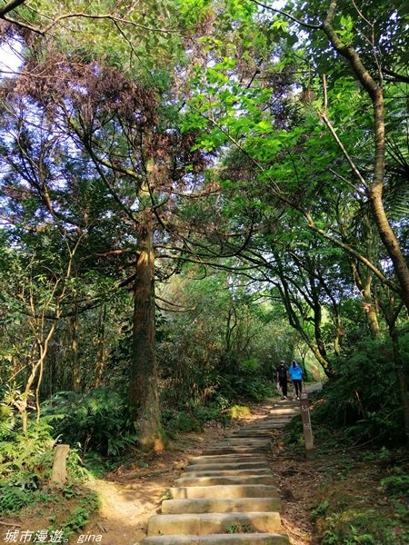 【基隆。七堵】360度環繞山景。 小百岳集起來。 編號11小百岳~姜子寮山_1349674