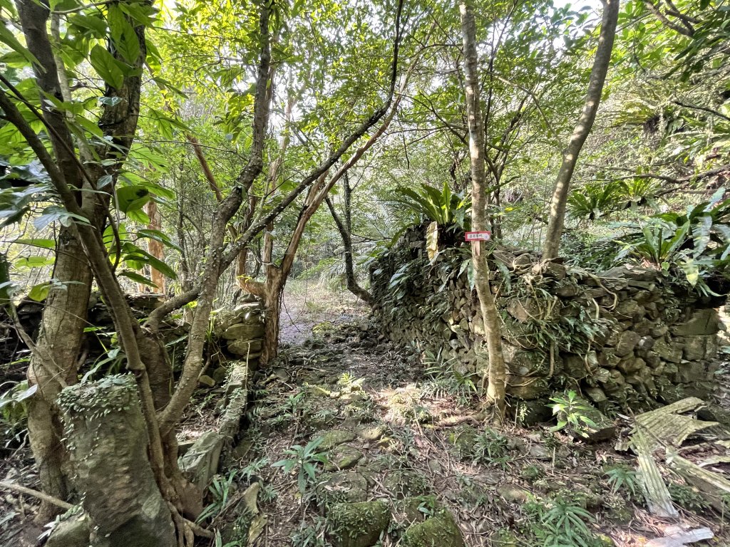 貢寮大嶺古道登桃源谷 淡蘭古道_1956197