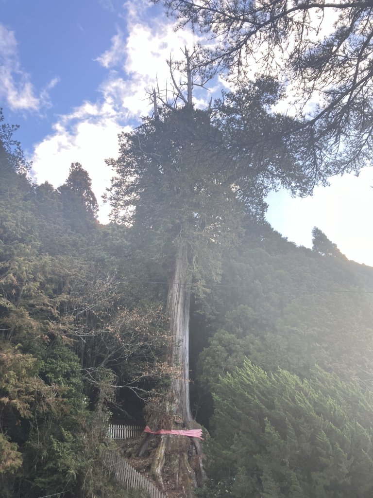 20240127 郡大山-望鄉山_2411897