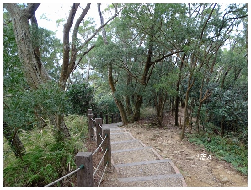 飛鳳山/觀日坪古道_773078