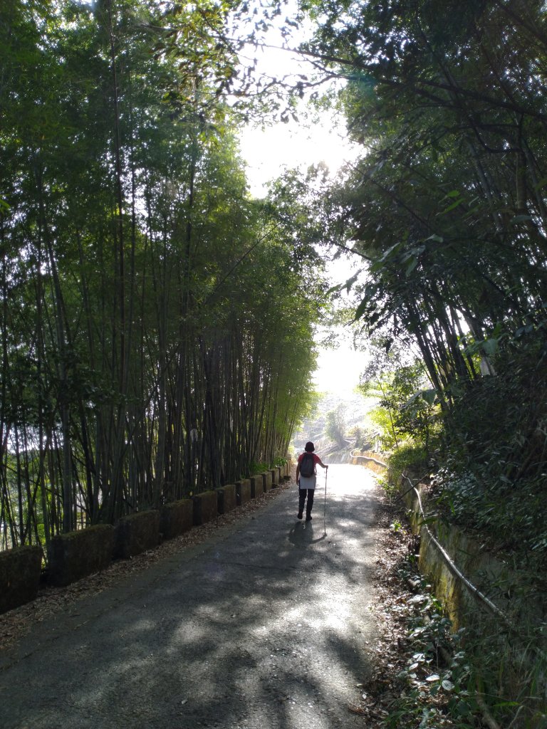 2020-2021 後棟仔 大尖山 二尖山_1527131