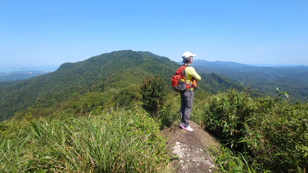 春天鮮綠的呢喃基隆荖寮坑古道上望古山登五分山O型_2747323