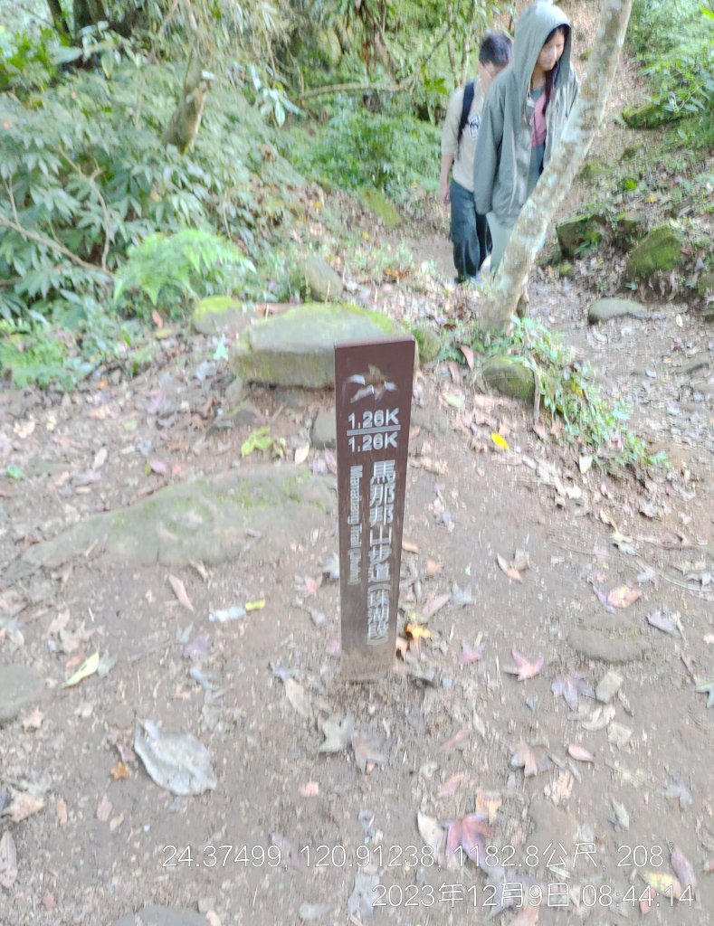20231209_馬那邦山_2374543