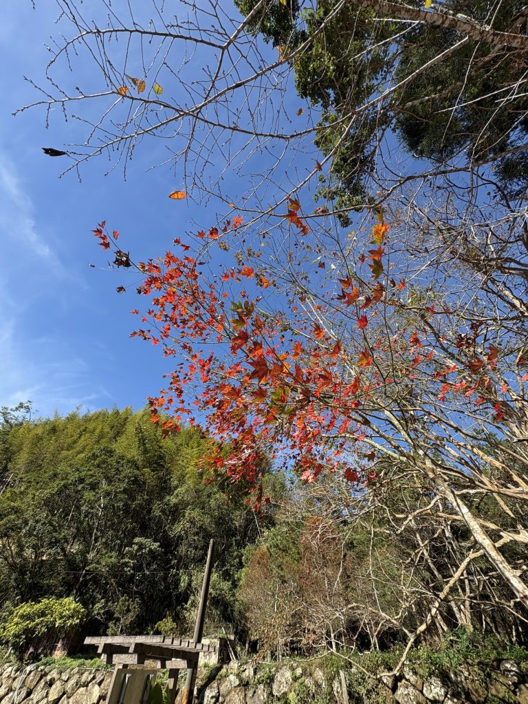 20251221嘉南雲峰、石壁山登山步道_2968212