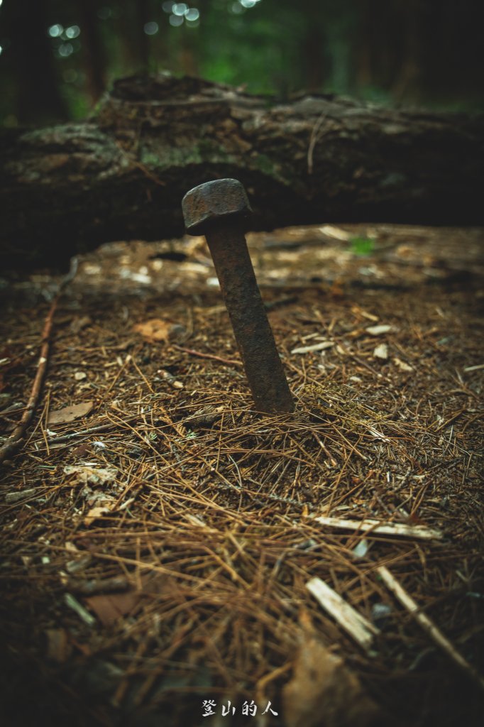 霞山鐵道野營_2843105