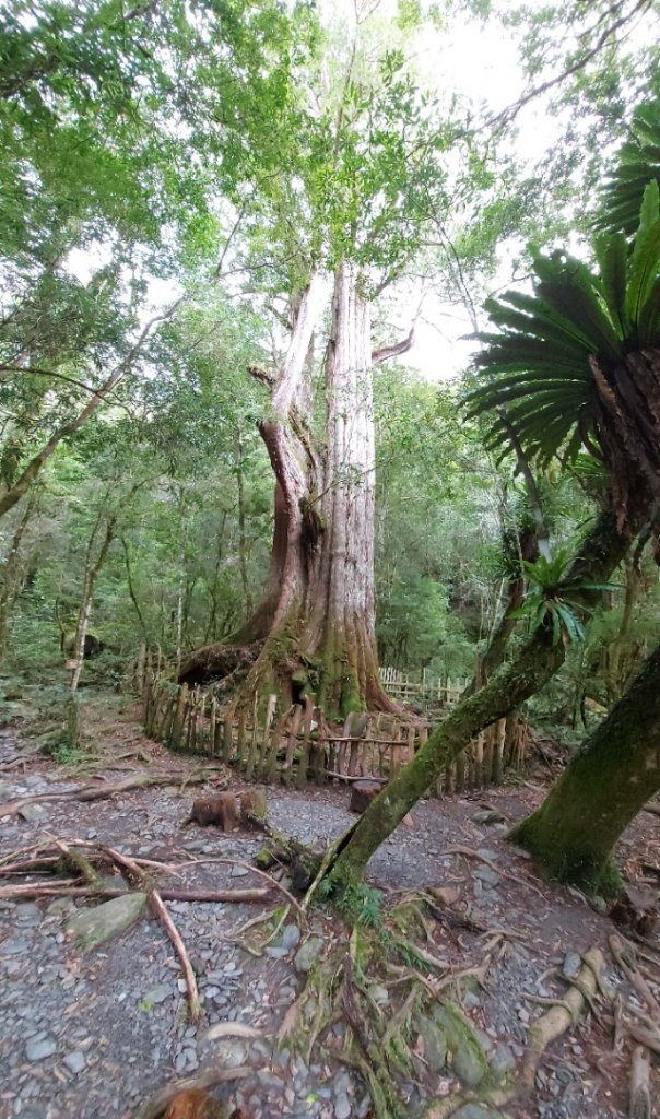 司馬庫斯20220216_1618114