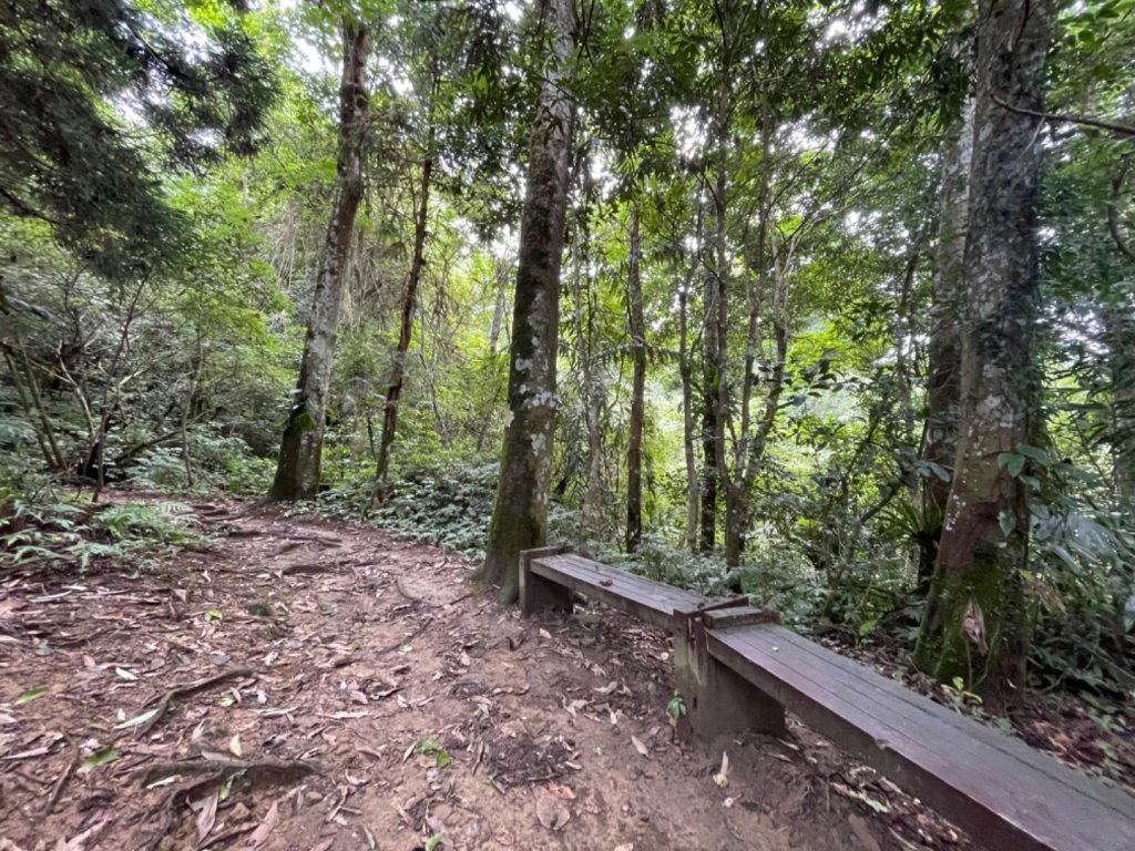 五指山登山步道_2226372