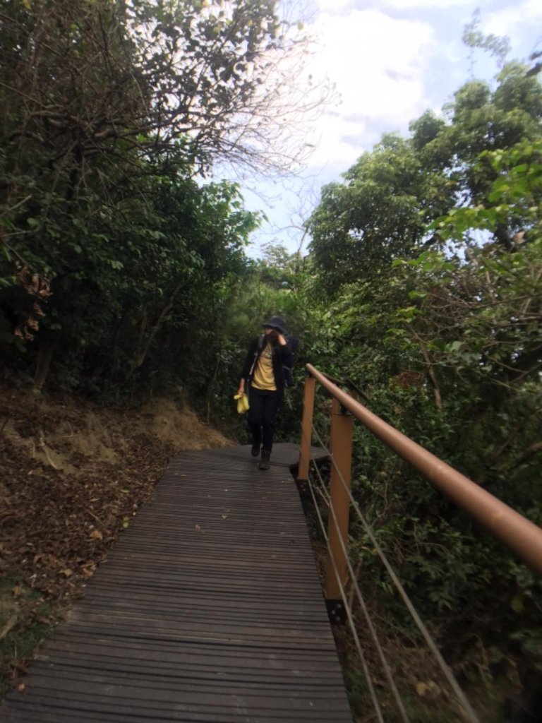 壽山龜山步道_563481