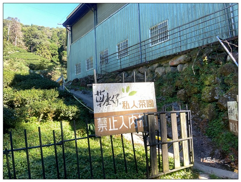 嶺頭山、金柑樹山、忘憂森林 O型一圈_2944743