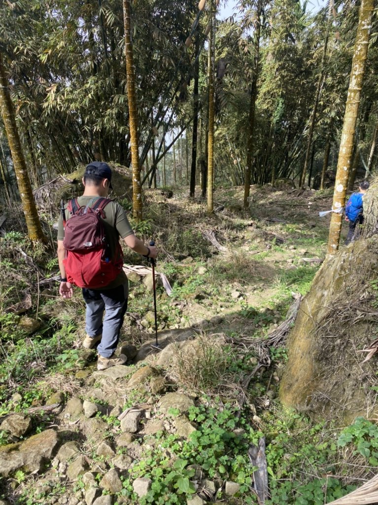 雞籠山x大凍山x九龍山_1221035