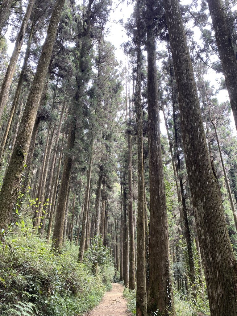 40大凍山_3060394