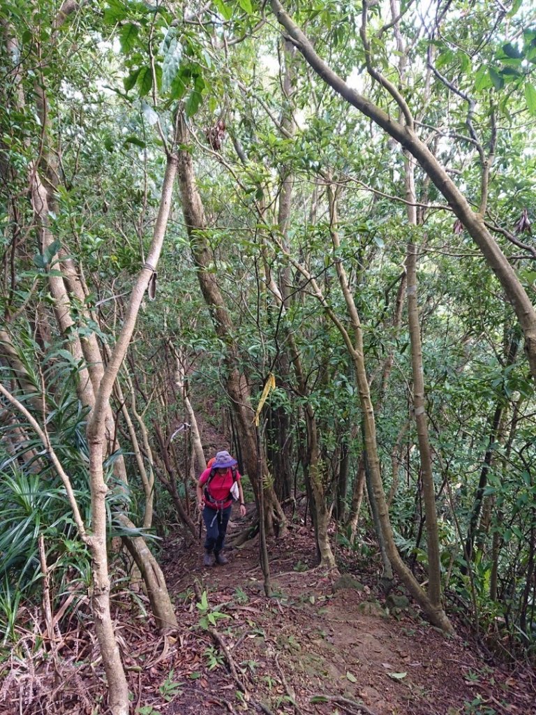 畝畝山、青林山、石古井、石硿子瀑布、石硿子古道O走_1492707