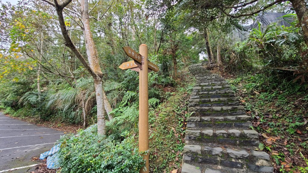 2020-1221 大崎崠登山步道_1214919