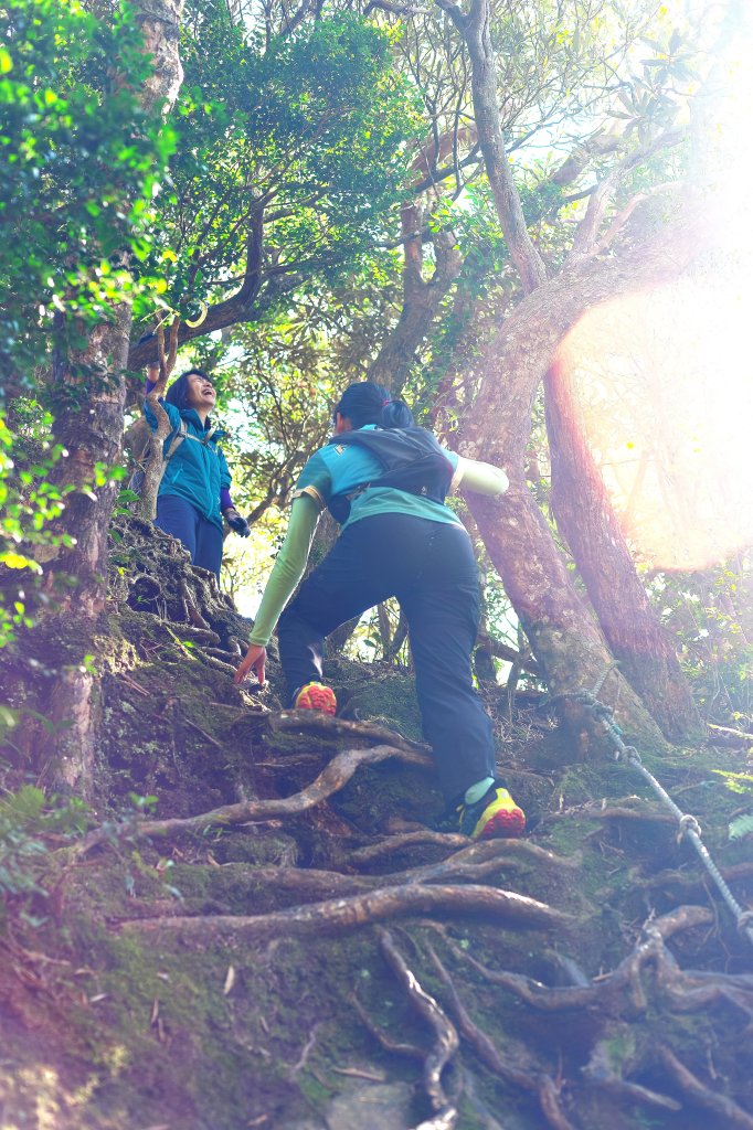 嘎色鬧登那結山_2392502