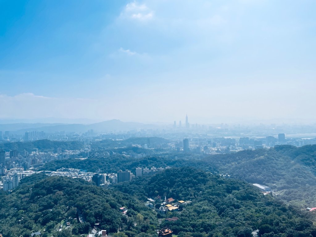 20250228 碧山巖賞櫻&鯉魚山步道_2736095