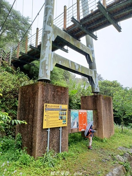 【雲林古坑】適合親子散散步。 華山小天梯情人橋_1681755