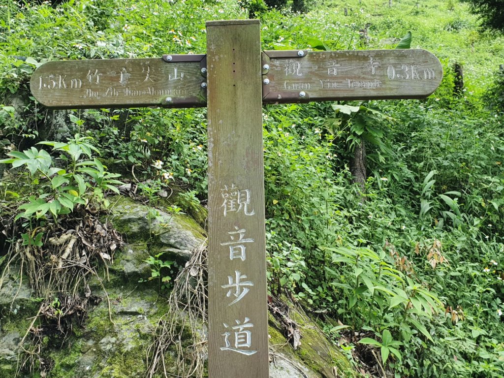 台南觀音步道_1104751