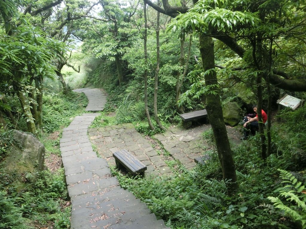 七星山主東峰．七星公園．冷苗步道_331916