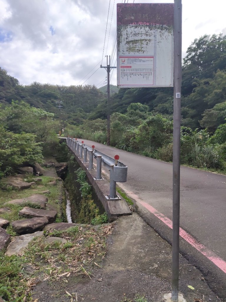 草嶺古道茫草祭_2936600