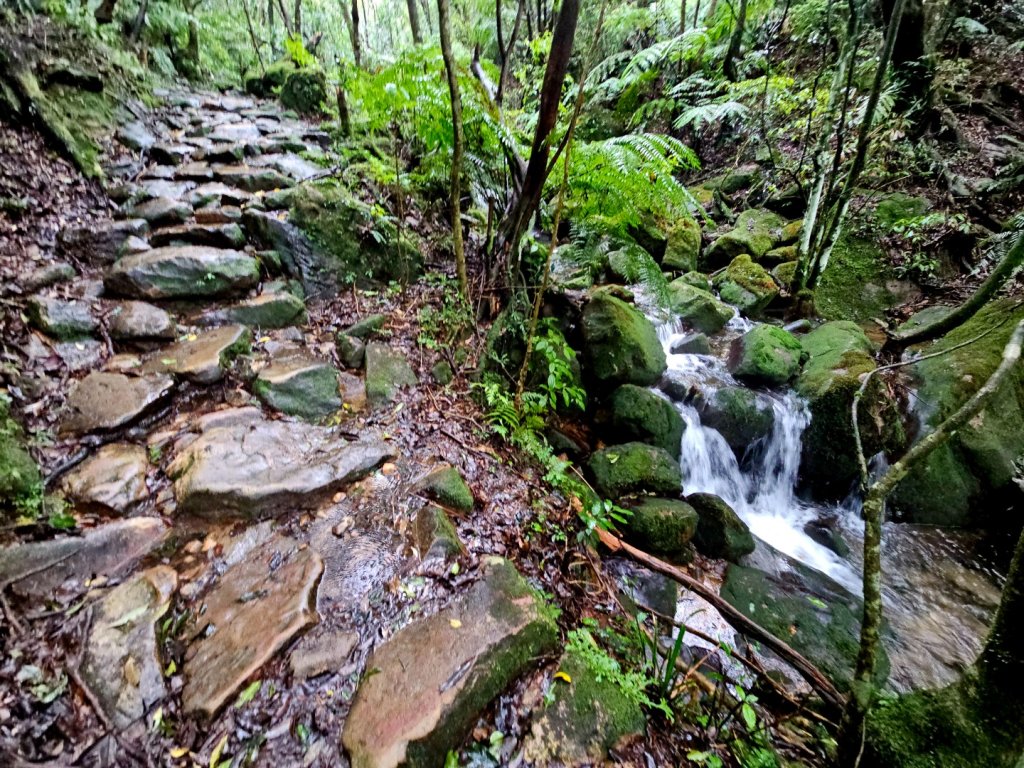 2025臺北大縱走第四段：風櫃口至中華科技大學_2973488