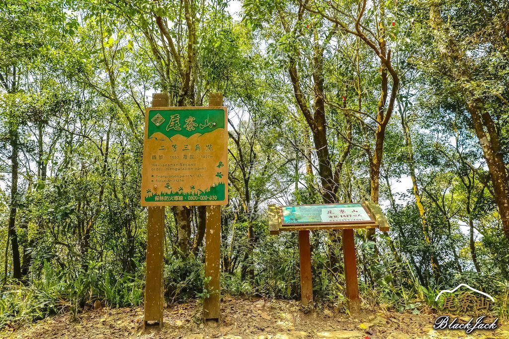 學霸同行尾寮山_295321