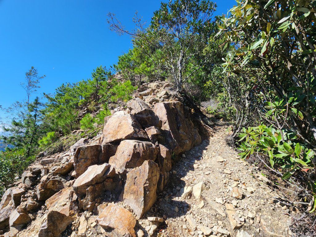 20241013東南稜上東卯山_2670989