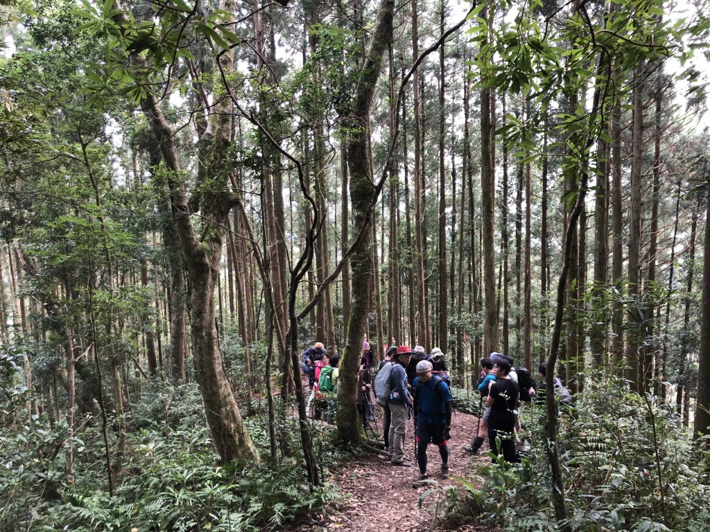 一魚多吃的高島縱走  帶孩子享受攀爬的_452363